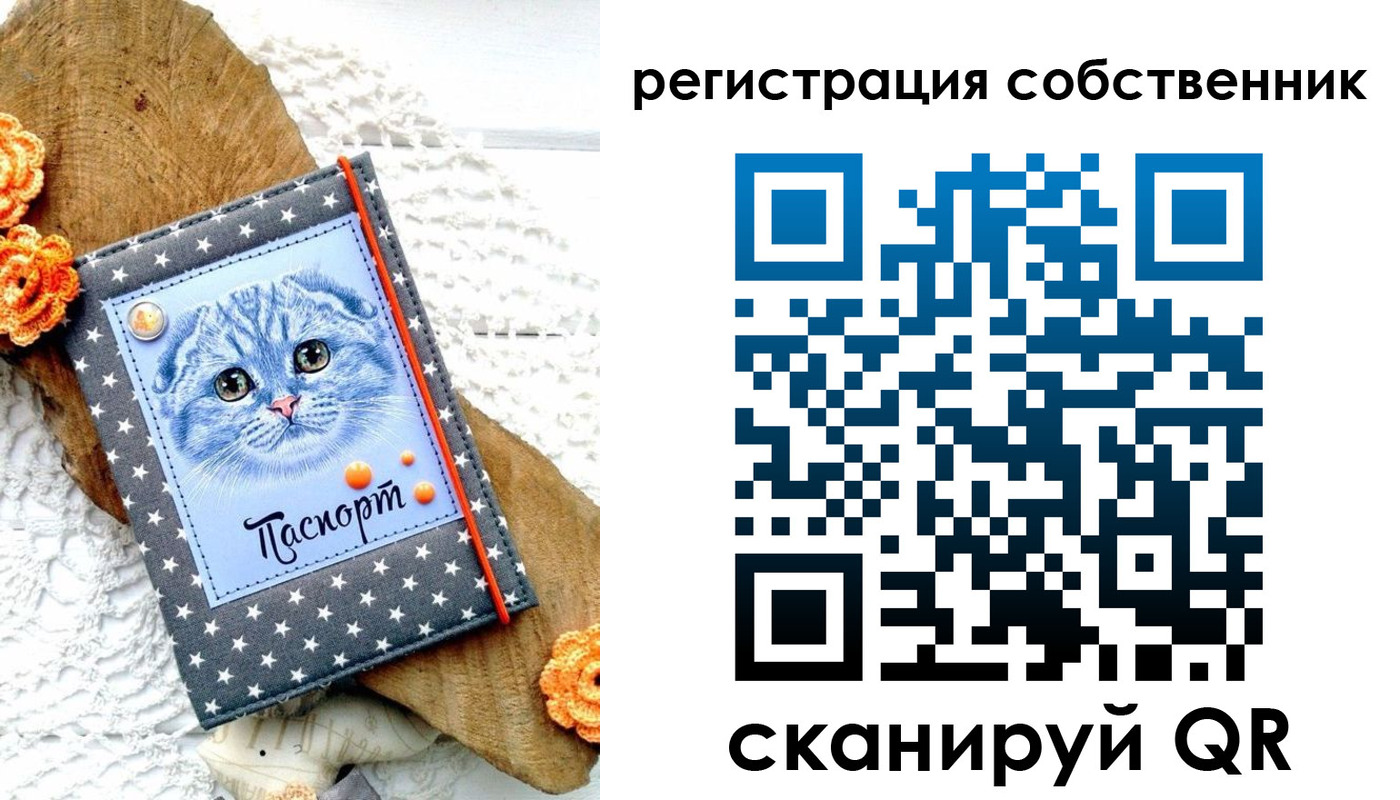 прописка для работы в Ейске